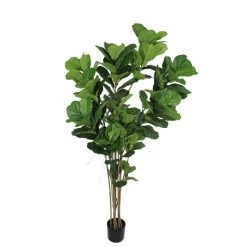 Dunelm Artificial Fig Tree 180cm -Decorative Discount Store 30754632 alt04