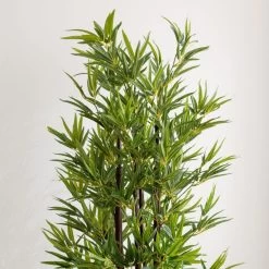 Dunelm Artificial Black Stem Bamboo Tree 180cm -Decorative Discount Store 30754633 alt02