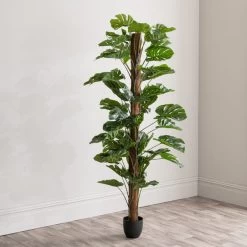 Dunelm Artificial Monstera Tree 180cm -Decorative Discount Store 30754635 alt03