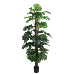 Dunelm Artificial Monstera Tree 180cm -Decorative Discount Store 30754635 alt04