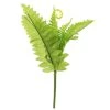 Dunelm Fern Pick