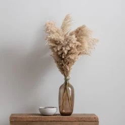 Dunelm Dried Pampas Natural Grass Bundle 75cm
