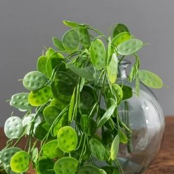 Dunelm Artificial Trailing Honesty Green 65cm 8 Dunelm Artificial Trailing Honesty Green 65cm -Decorative Discount Store 30764939 alt02