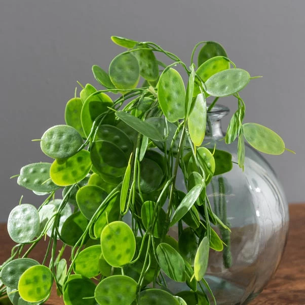 Dunelm Artificial Trailing Honesty Green 65cm 3 Dunelm Artificial Trailing Honesty Green 65cm - Image 3