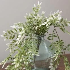 Dunelm Pack Of 12 Artificial Green Trailing Leaf Bush -Decorative Discount Store 30764953 alt01