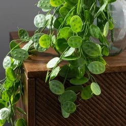 Dunelm Pack Of 12 Artificial Green Trailing Honesty -Decorative Discount Store 30764960 alt01