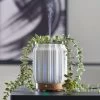 Dunelm Trailing Eucalyptus Electronic Diffuser