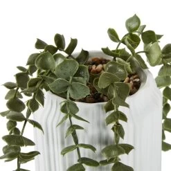 Dunelm Trailing Eucalyptus Electronic Diffuser -Decorative Discount Store 30765957 alt01