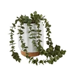 Dunelm Trailing Eucalyptus Electronic Diffuser -Decorative Discount Store 30765957 alt02