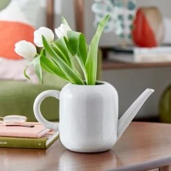 Dunelm Elements Sculpted Watering Can -Decorative Discount Store 30765968 alt01