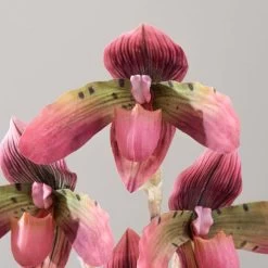 Dunelm Real Touch Slipper Orchid 45cm -Decorative Discount Store 30766508 alt03