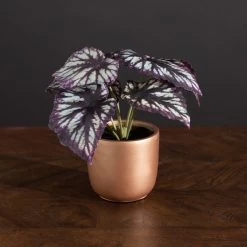 Dunelm Begonia In Gold Pot -Decorative Discount Store 30766510 alt03