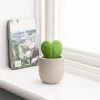 Dunelm Sweetheart Plant In Cement Pot