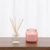 Dunelm Rhubarb Diffuser And Candle Set