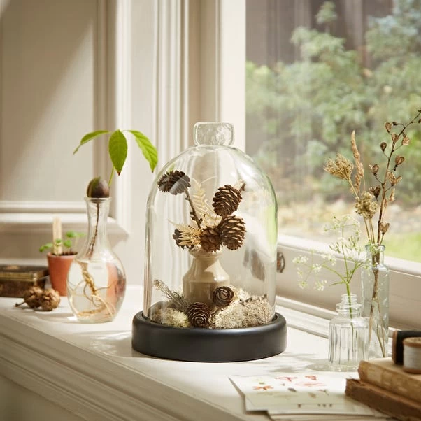 Dunelm Black Mango Wood Cloche 2 Dunelm Black Mango Wood Cloche - Image 2