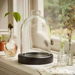 Dunelm Black Mango Wood Cloche 10 Dunelm Black Mango Wood Cloche -Decorative Discount Store 30779657 alt04