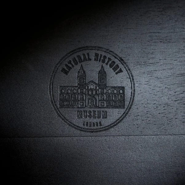 Dunelm Black Mango Wood Cloche 6 Dunelm Black Mango Wood Cloche - Image 6