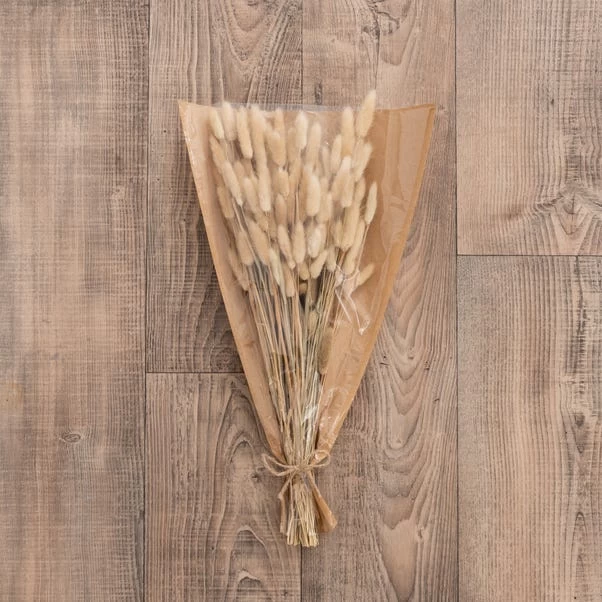 Dunelm Natural Dried Lagurus Bundle 80g 2 Dunelm Natural Dried Lagurus Bundle 80g - Image 2