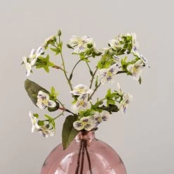 Dunelm Pack Of 6 Cream Pansy Bundle -Decorative Discount Store 30791579 alt01