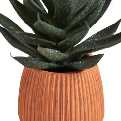 Dunelm Cacti In Ceramic Pot 16cm -Decorative Discount Store 30794941 alt02