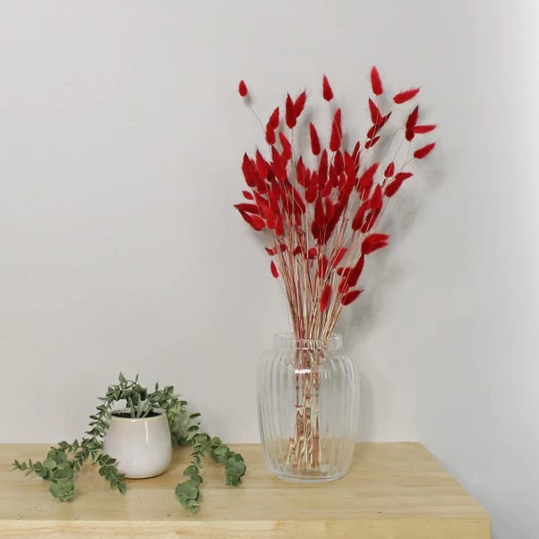 Dunelm Lagurus Russet Bundle 30g 1 Dunelm Lagurus Russet Bundle 30g