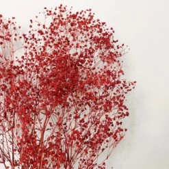 Dunelm Preserved Gypsophila Russet Bundle 40g -Decorative Discount Store 30795398 alt01