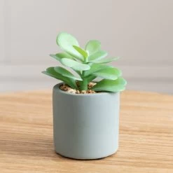 Dunelm Jade Succulent In Pacific Pot -Decorative Discount Store 30796538 alt01