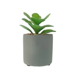 Dunelm Jade Succulent In Pacific Pot -Decorative Discount Store 30796538 alt02
