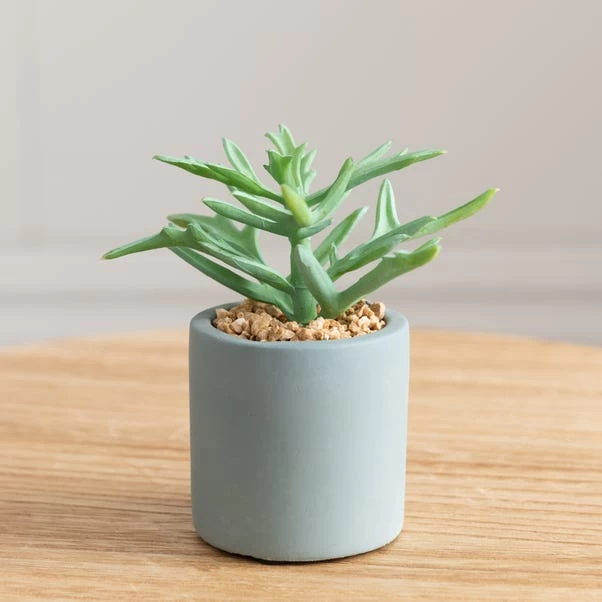 Dunelm Succulent In Pacific Pot 2 Dunelm Succulent In Pacific Pot - Image 2