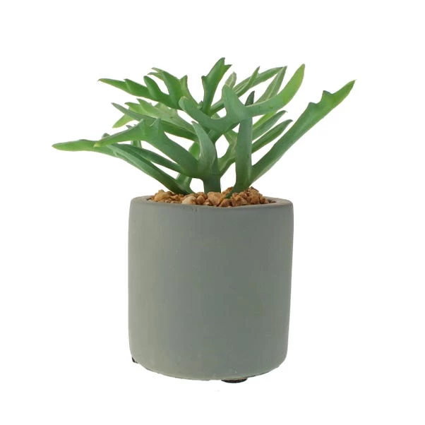 Dunelm Succulent In Pacific Pot 3 Dunelm Succulent In Pacific Pot - Image 3