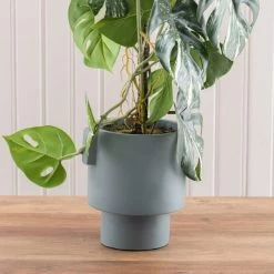 Dunelm Artificial Climbing Variegated Monstera In Pacific Pot -Decorative Discount Store 30796692 alt02