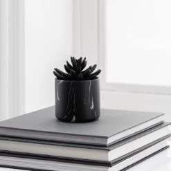 Dunelm Succulent In Black Marble Pot -Decorative Discount Store 30796700 alt01