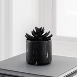 Dunelm Succulent In Black Marble Pot -Decorative Discount Store 30796700 alt02