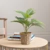 Dunelm Tabletop Palm In Basket Pot