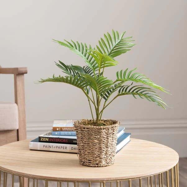 Dunelm Tabletop Palm In Basket Pot 1 Dunelm Tabletop Palm In Basket Pot