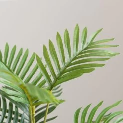 Dunelm Tabletop Palm In Basket Pot 6 Dunelm Tabletop Palm In Basket Pot -Decorative Discount Store 30796711 alt01