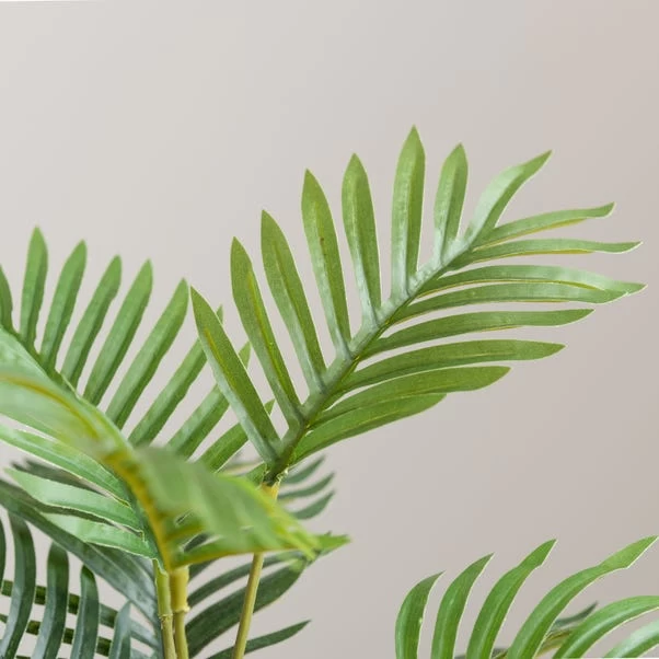 Dunelm Tabletop Palm In Basket Pot 2 Dunelm Tabletop Palm In Basket Pot - Image 2