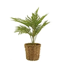 Dunelm Tabletop Palm In Basket Pot 9 Dunelm Tabletop Palm In Basket Pot -Decorative Discount Store 30796711 alt04