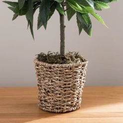 Dunelm Tabletop Bay In Basket Pot -Decorative Discount Store 30796712 alt02