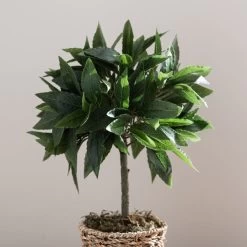 Dunelm Tabletop Bay In Basket Pot -Decorative Discount Store 30796712 alt03