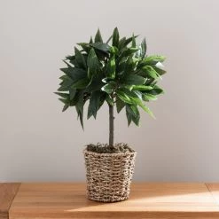 Dunelm Tabletop Bay In Basket Pot -Decorative Discount Store 30796712 alt04