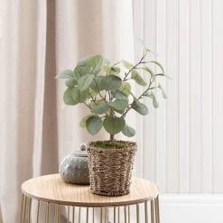 Dunelm Tabletop Eucalyptus Tree In Basket