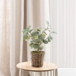 Dunelm Tabletop Eucalyptus Tree In Basket -Decorative Discount Store 30796713 alt02
