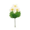 Dunelm White Narcissi Pick