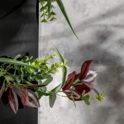 Dunelm Tropical 5ft Garland -Decorative Discount Store 30799966 alt01