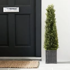 Dunelm Boxwood Cone Tree 90cm