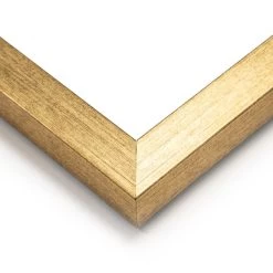 Dunelm Parrot King I Framed Print -Decorative Discount Store 30808371 alt02