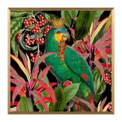 Dunelm Parrot King II Framed Print -Decorative Discount Store 30808372 alt01