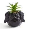 Dunelm Cockapoo Dog Plant Pot