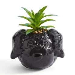 Dunelm Cockapoo Dog Plant Pot